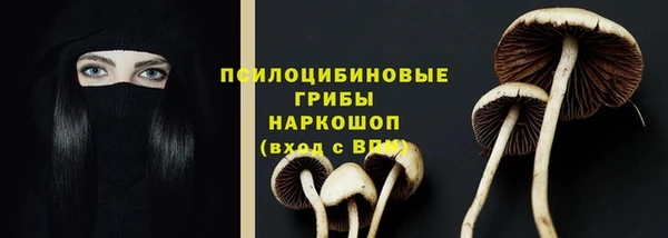 гидра Алзамай