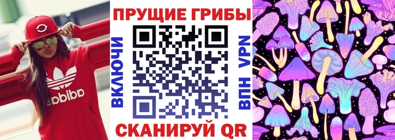 мега tor Суджа Псилоцибиновые грибы GOLDEN TEACHER где продают