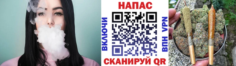 дарнет шоп  Суджа  Канабис SATIVA & INDICA 